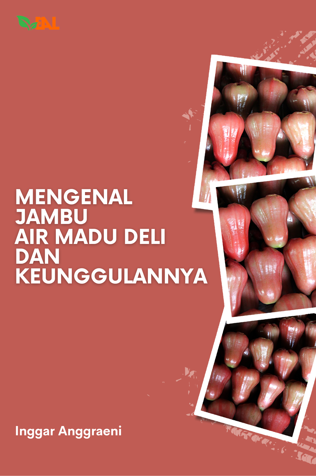 Mengenal Jambu Air Madu Deli Dan Keunggulannya Pt Elementa Media