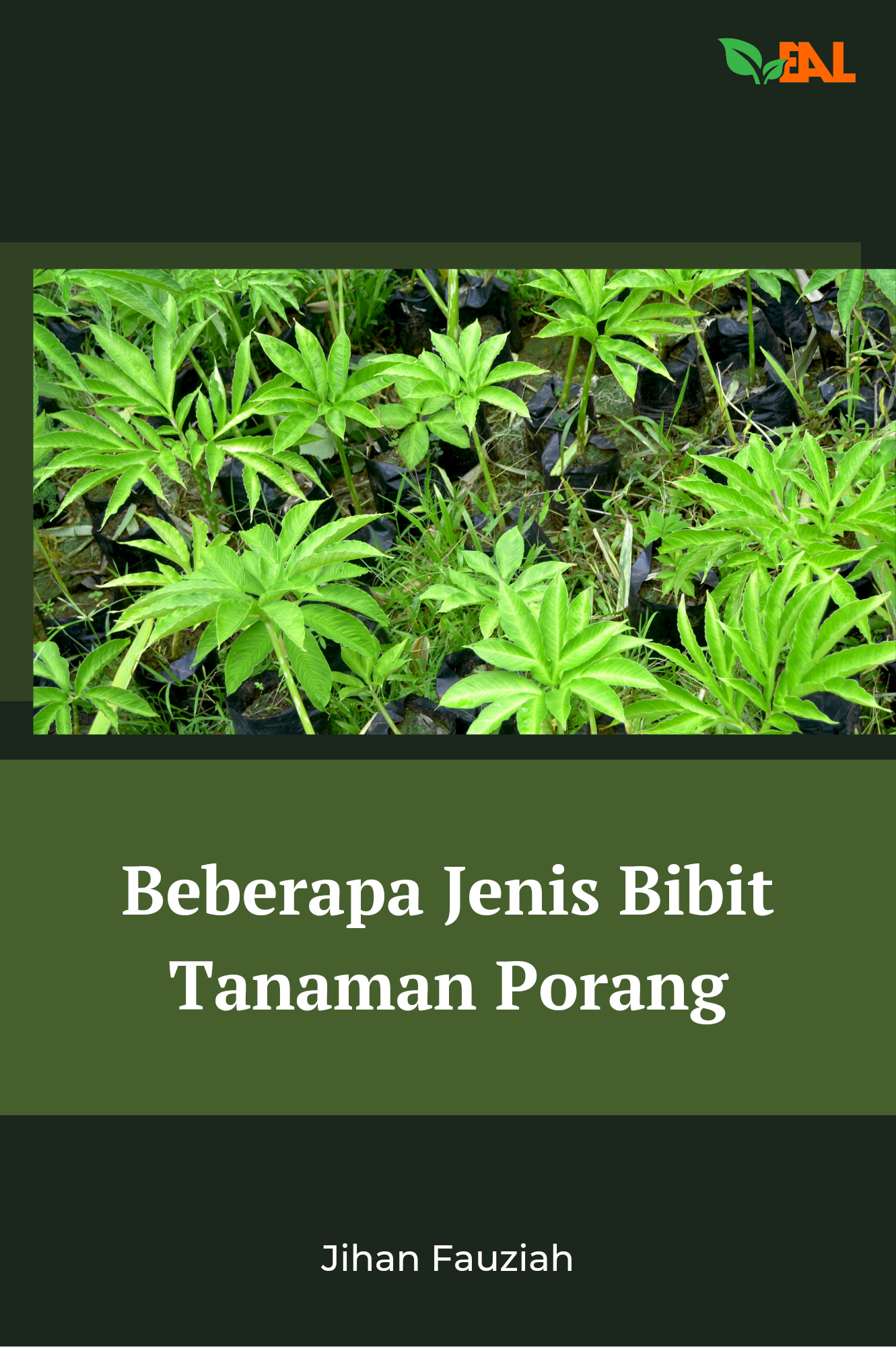 Beberapa Jenis Bibit Tanaman Porang Pt Elementa Media Literasi