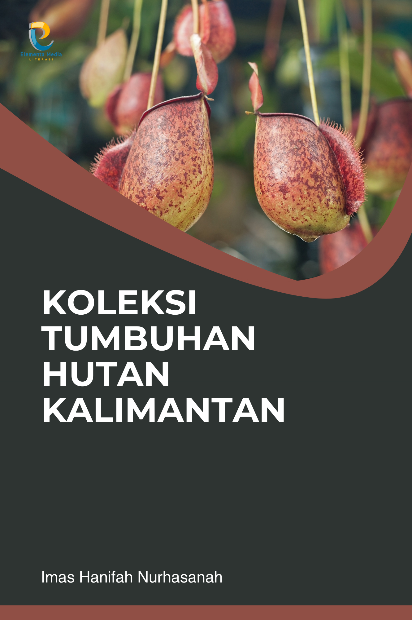 Koleksi Tumbuhan Hutan Kalimantan