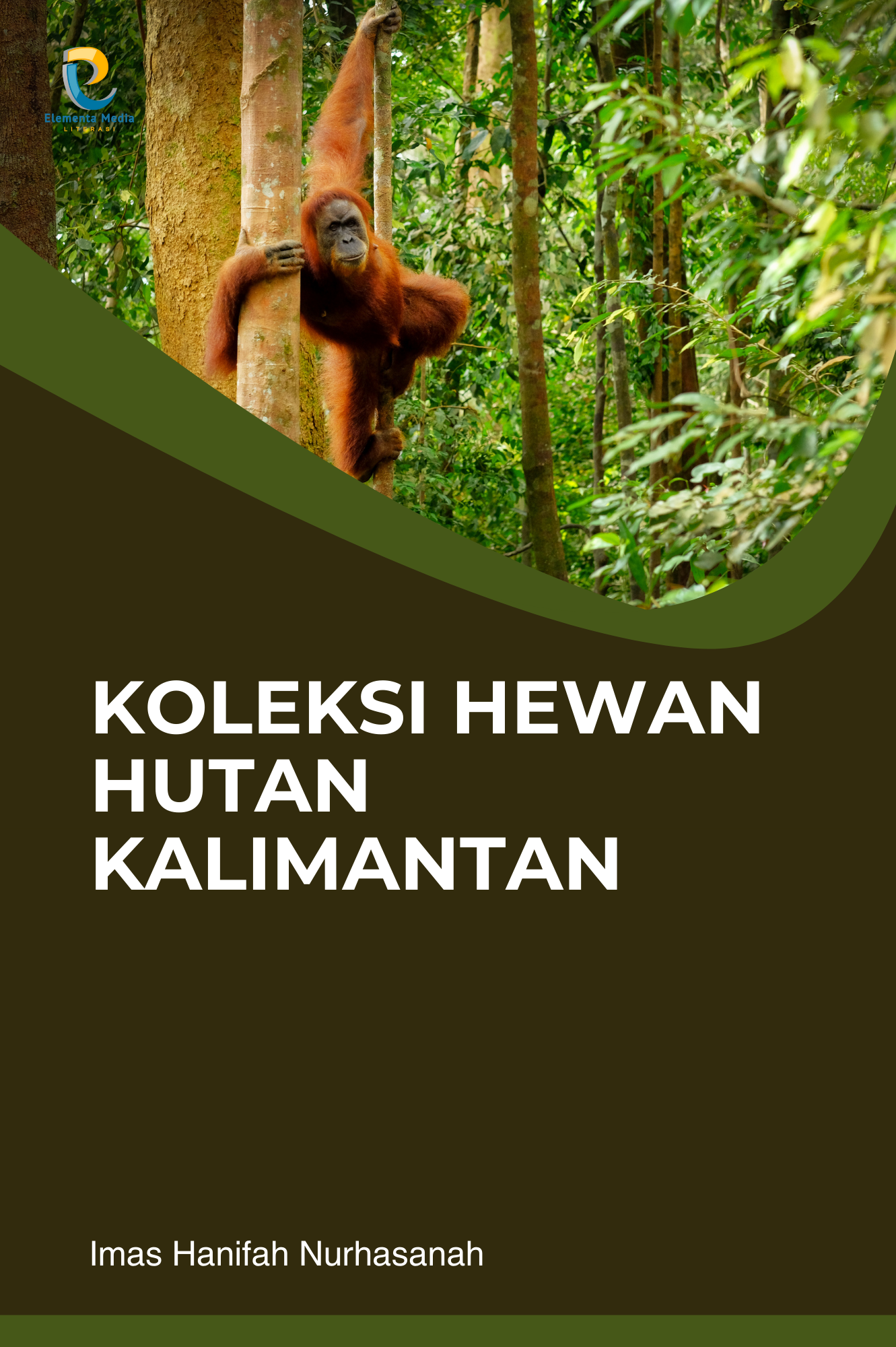 Koleksi Hewan Hutan Kalimantan