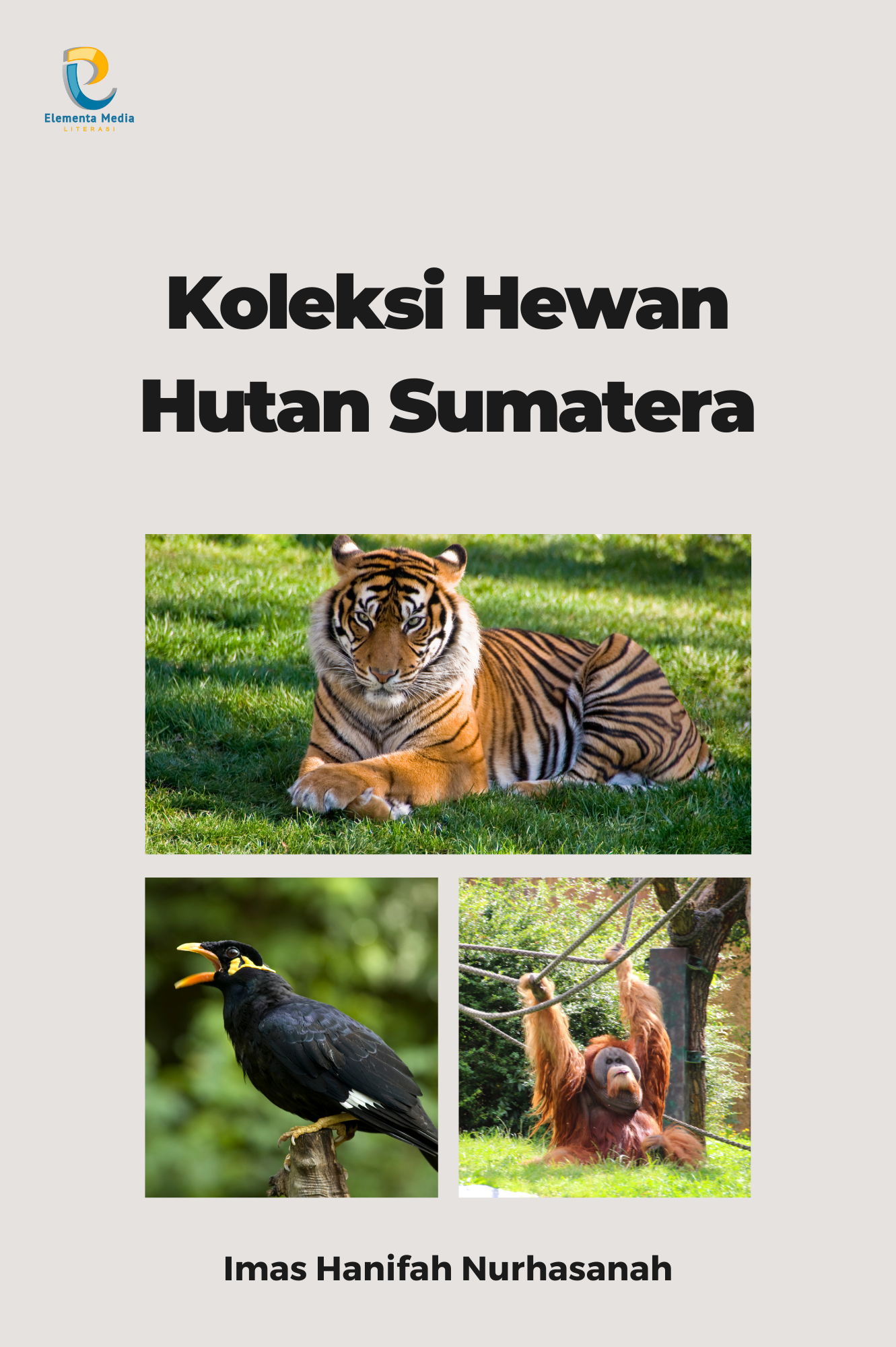 Koleksi Hewan Hutan Sumatera