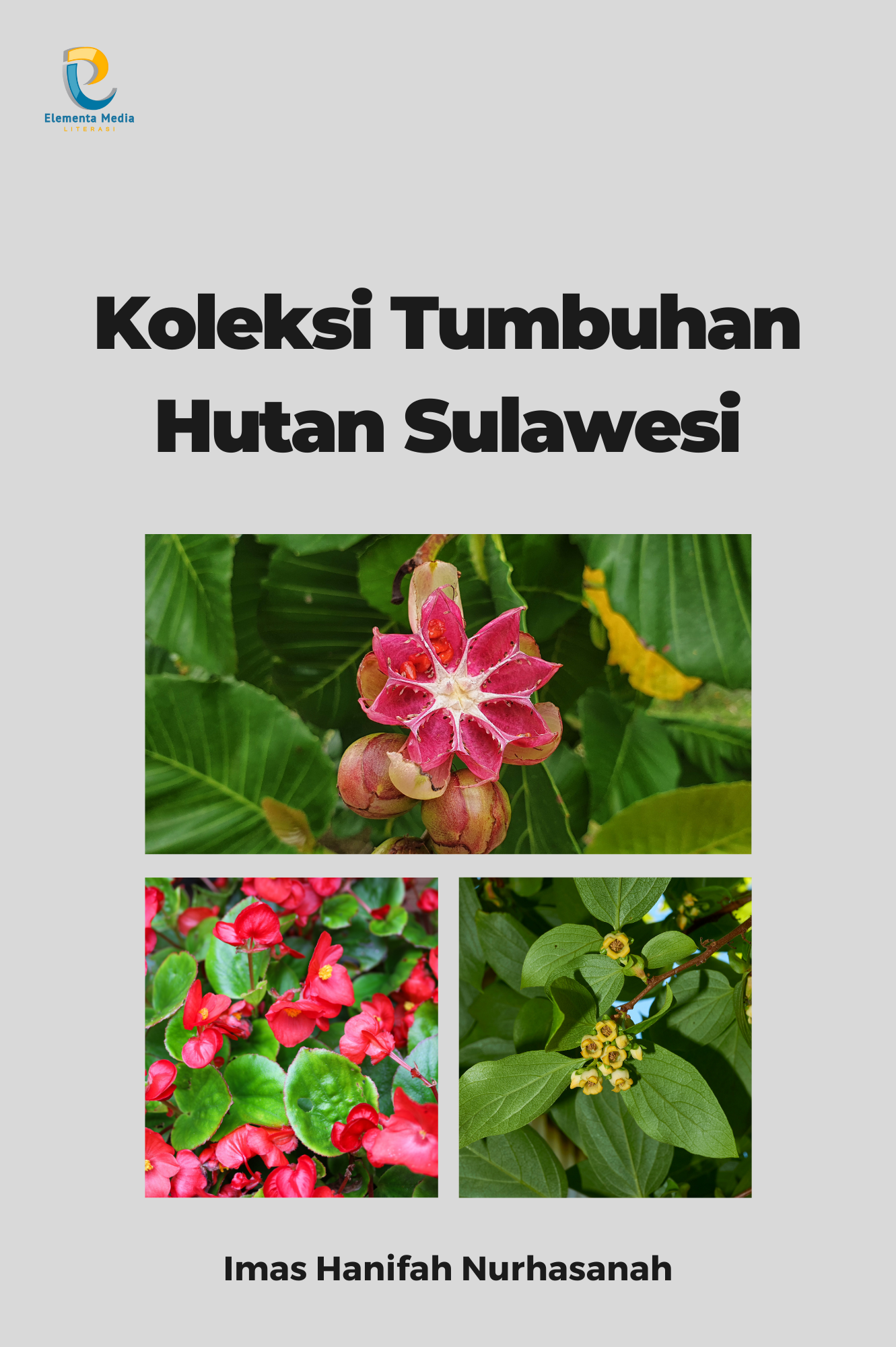 Koleksi Tumbuhan Hutan Sulawesi
