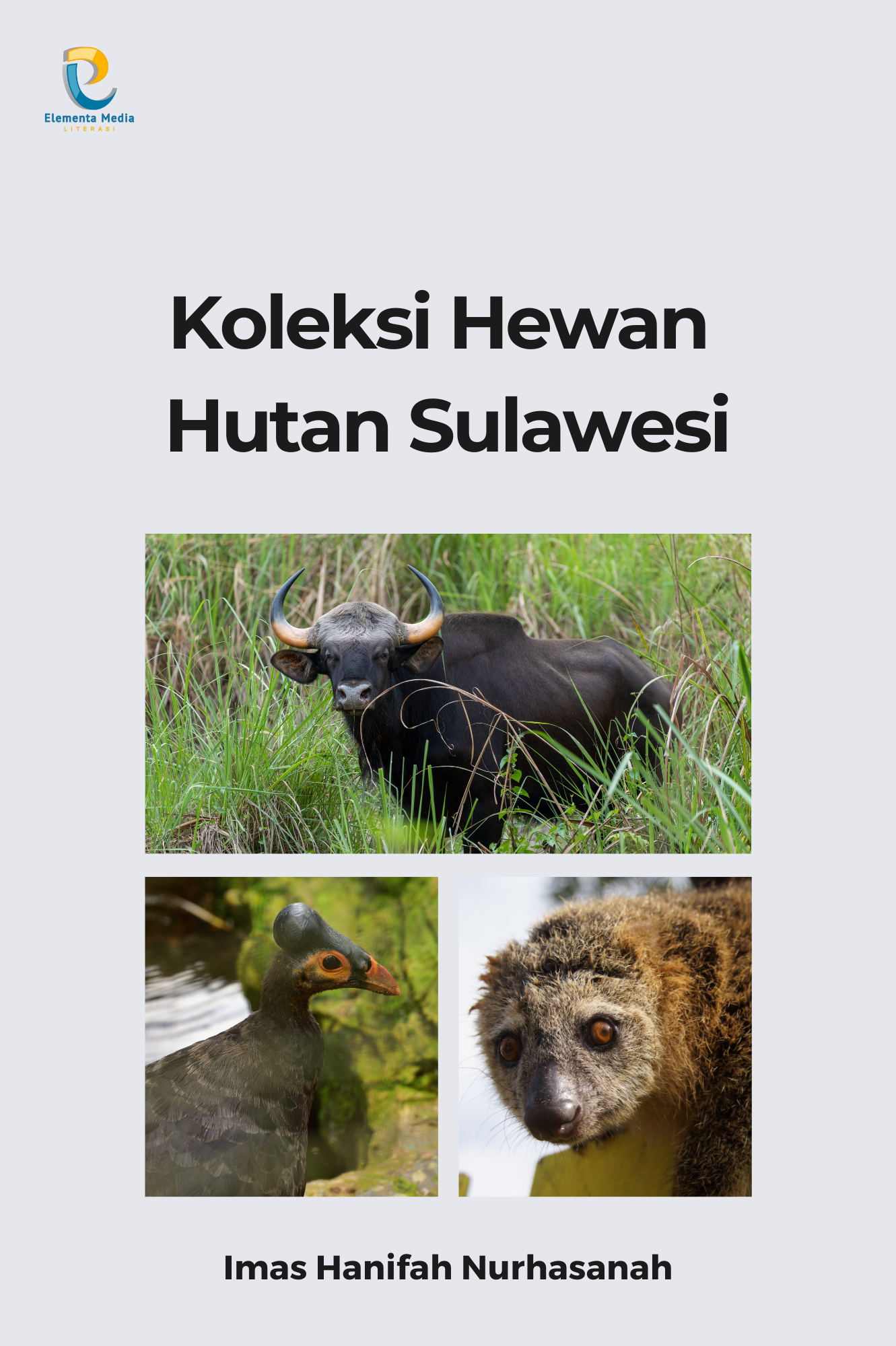 Koleksi Hewan Hutan Sulawesi