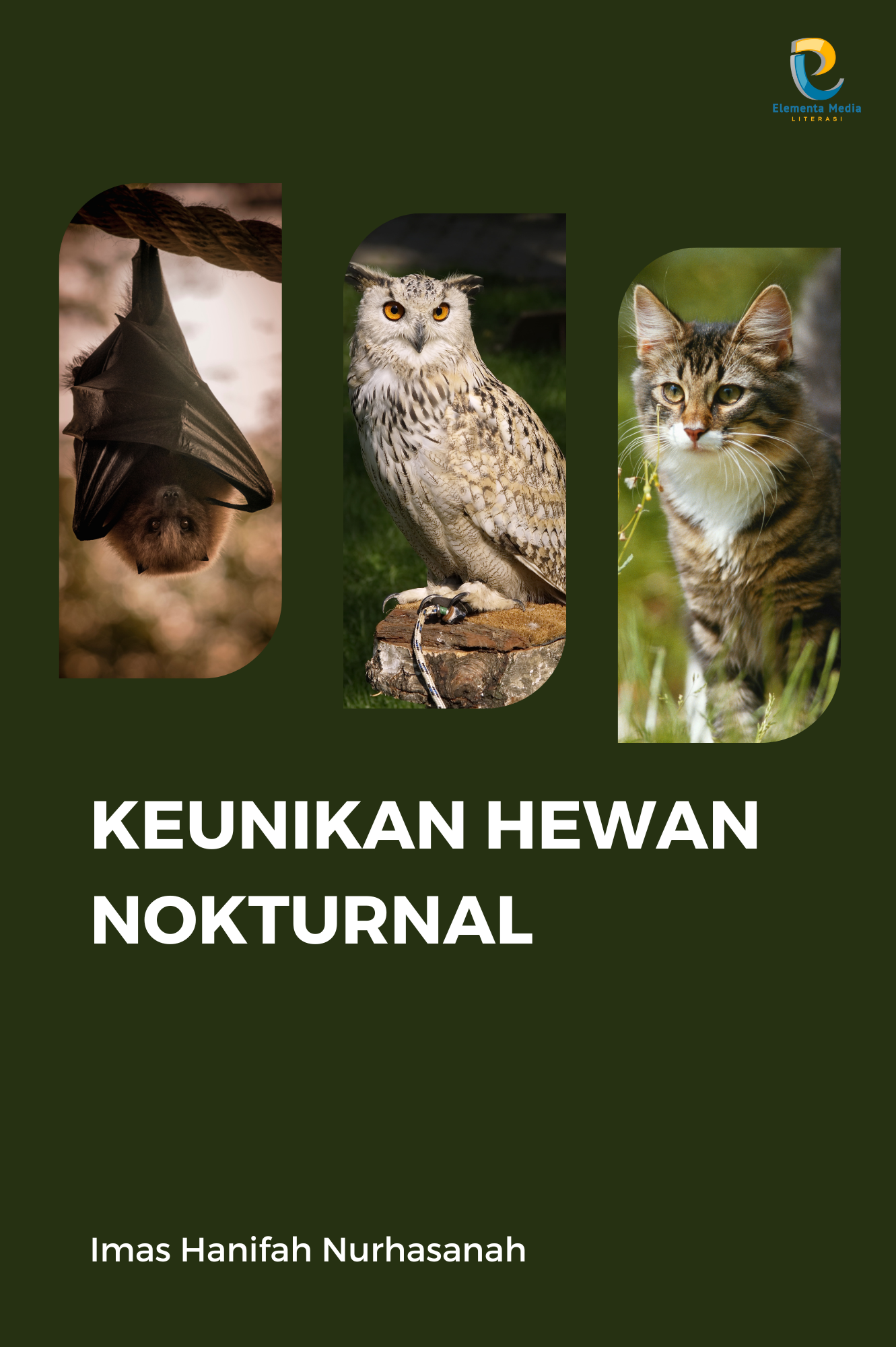Keunikan Hewan Nokturnal