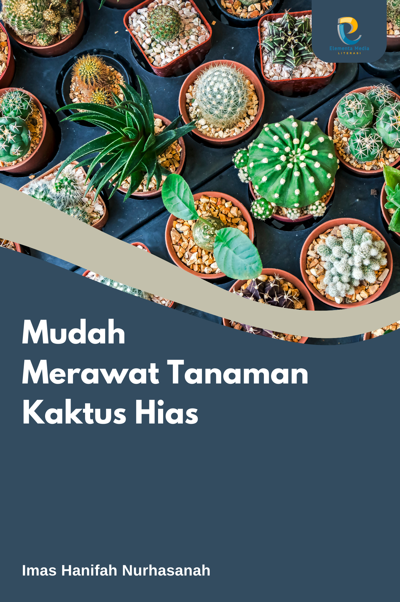 Mudah Merawat Tanaman Kaktus Hias