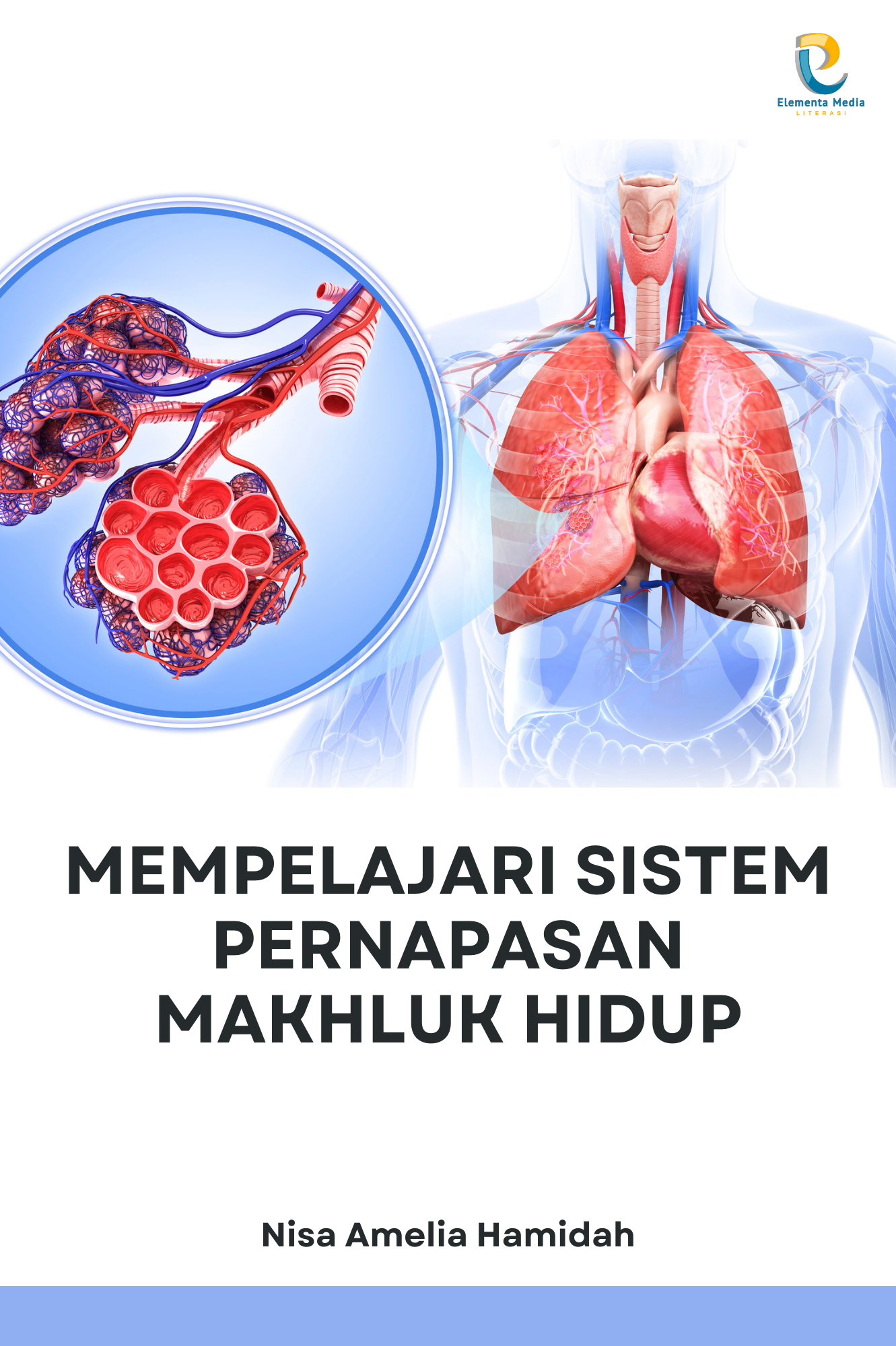 Mempelajari Sistem Pernapasan Makhluk Hidup