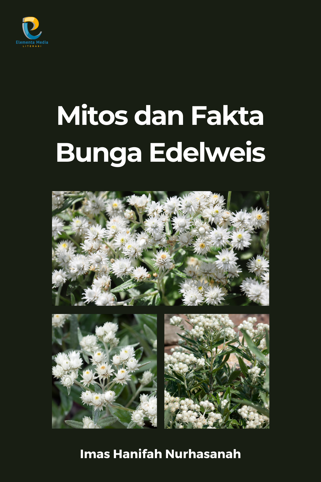 Mitos dan Fakta Bunga Endelweis
