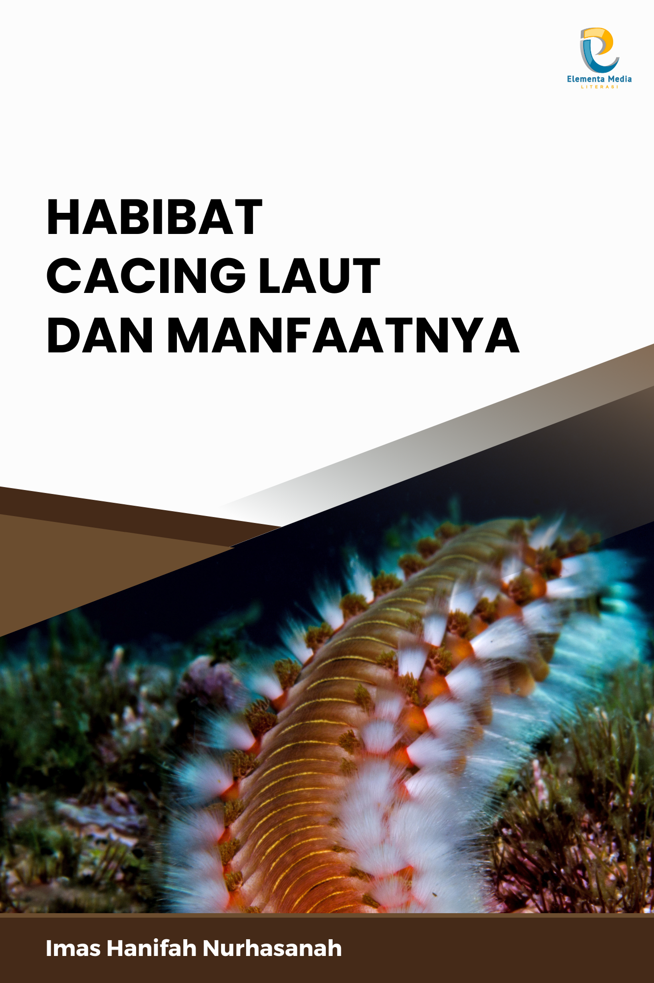 Habibat Cacing Laut dan Manfaatnya