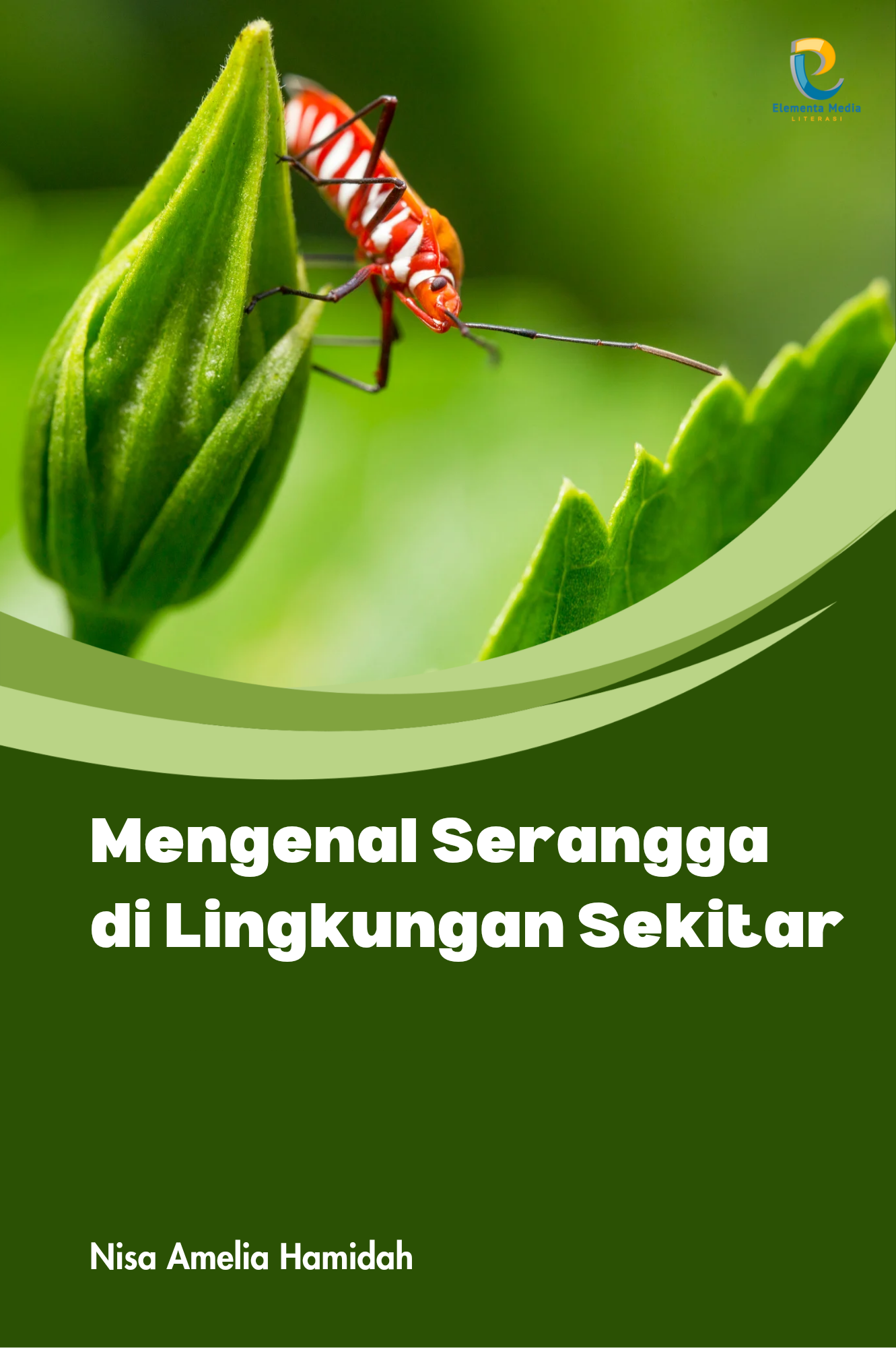 Mengenal Serangga di Lingkungan Sekitar