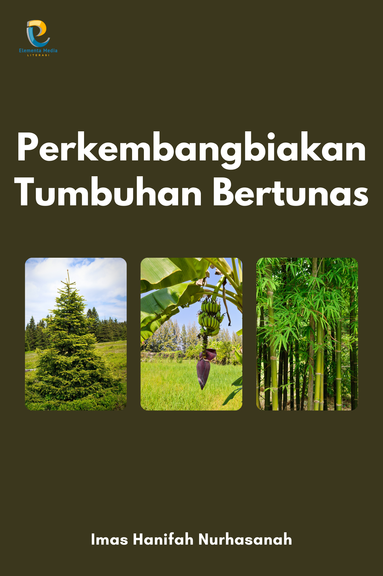 Perkembangbiakan Tumbuhan Bertunas