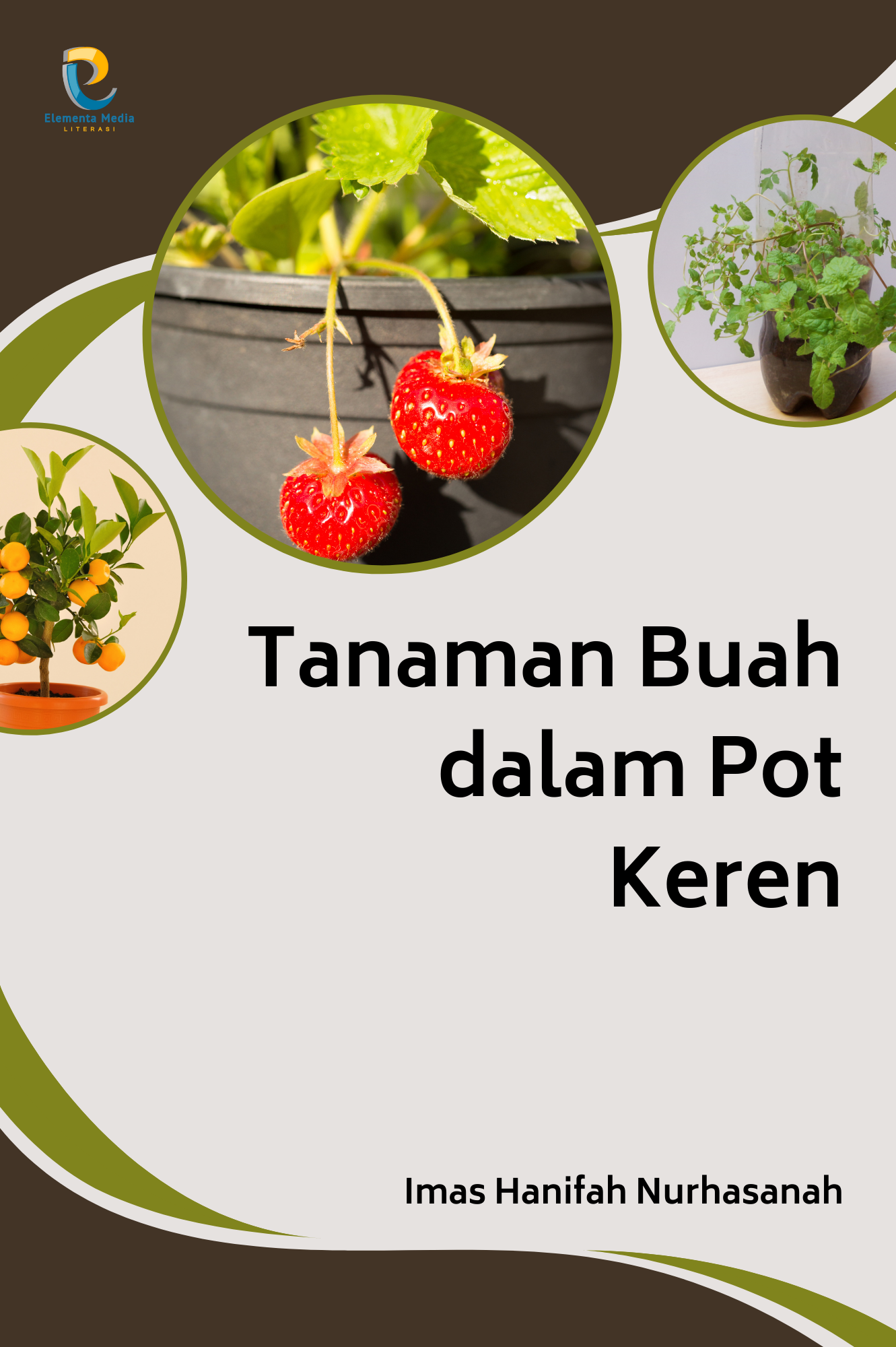 Tanaman Buah dalam Pot Keren