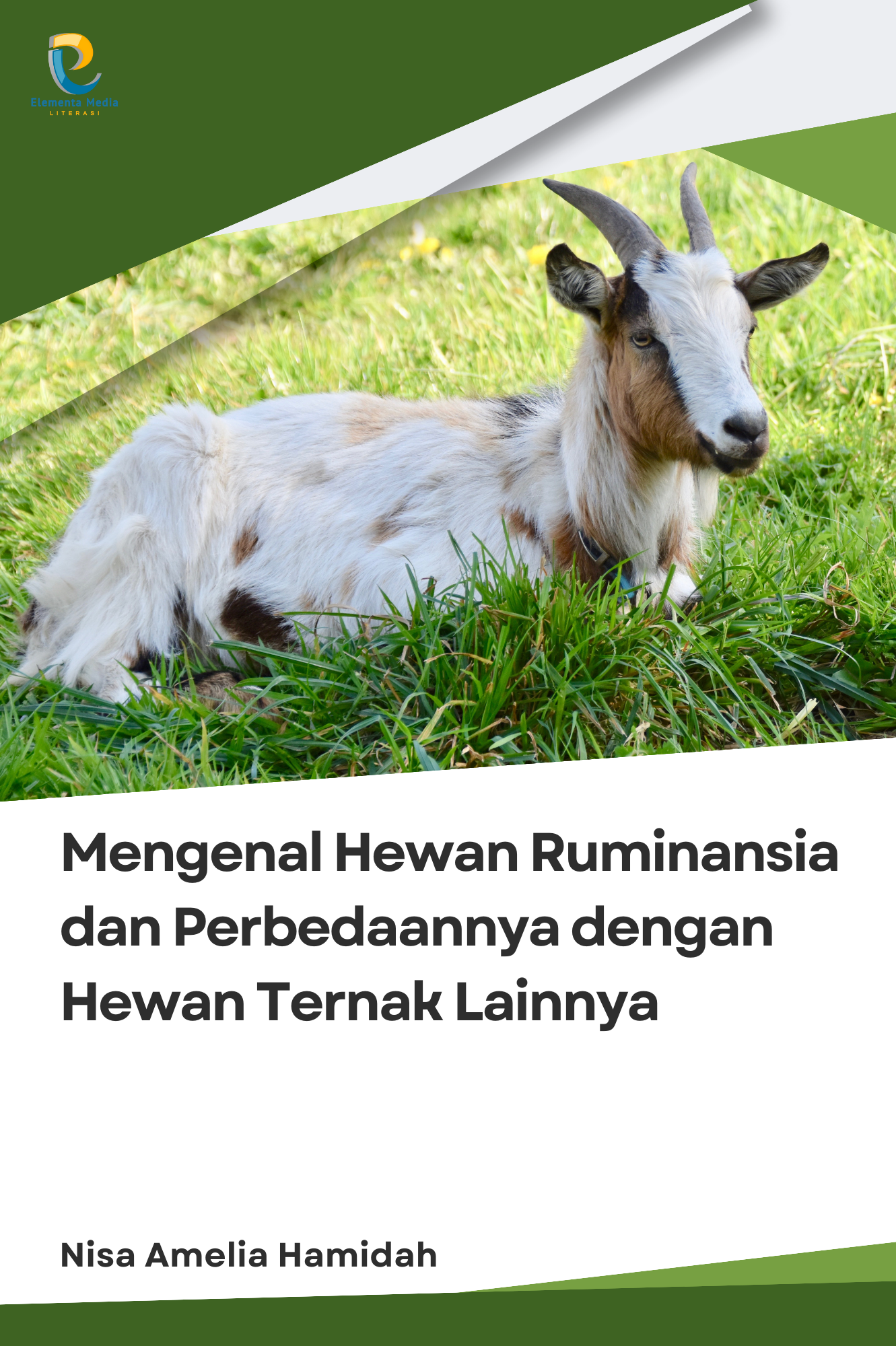 Mengenal Hewan Ruminansia dan Perbedaannya dengan Hewan Ternak Lainnya