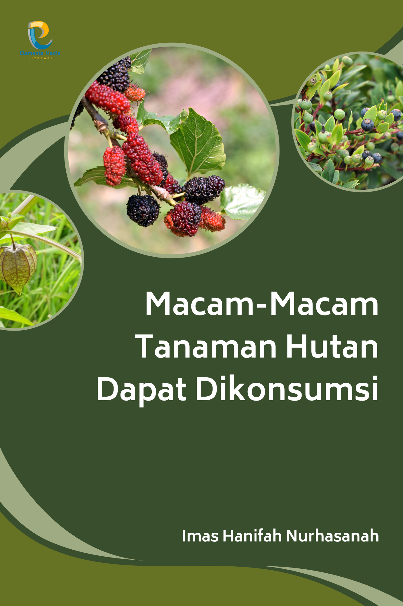 Macam-Macam Tanaman Hutan Dapat Dikonsumsi