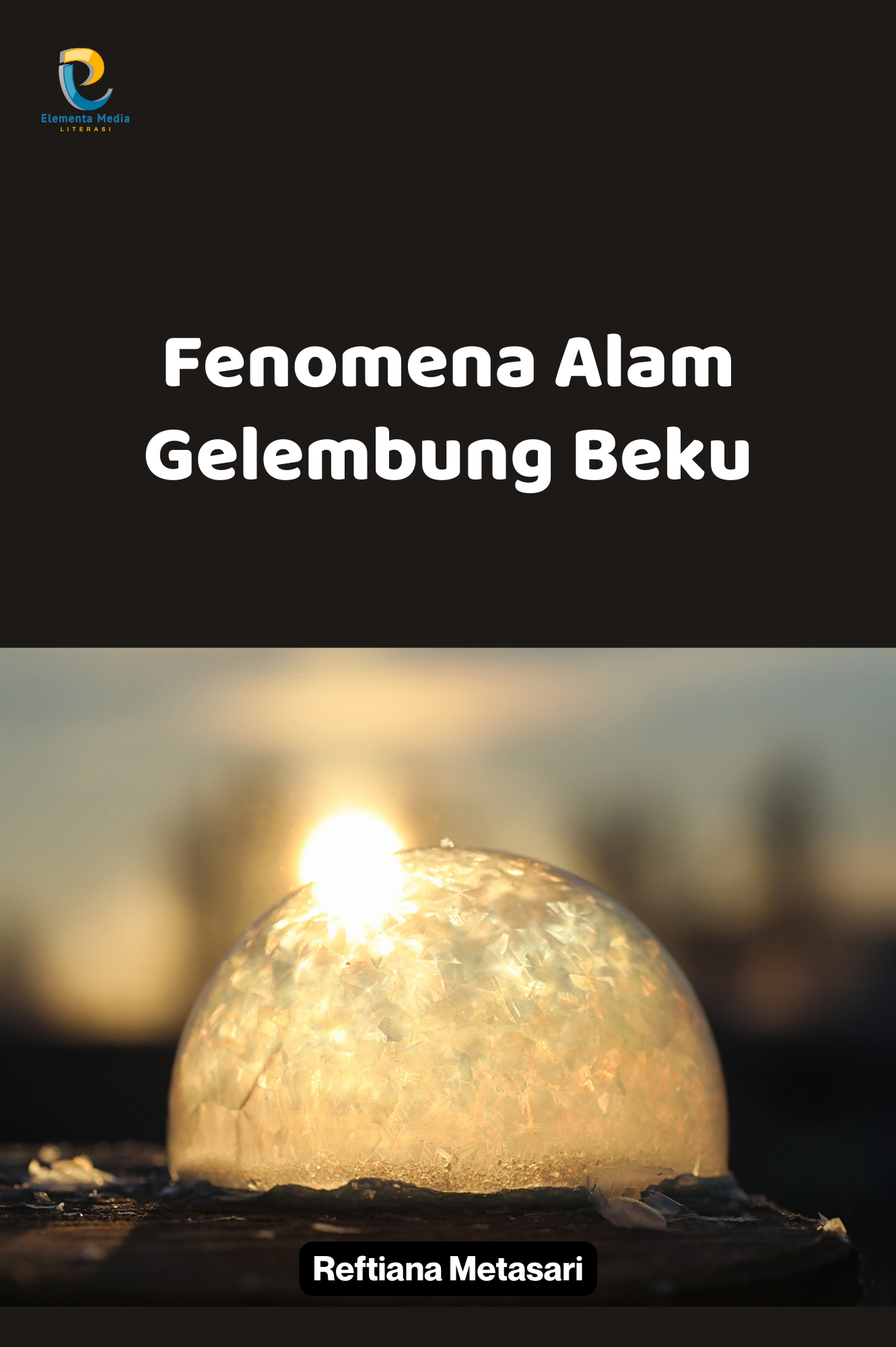Fenomena Alam Gelembung Beku