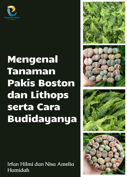 Mengenal Tanaman Pakis Boston dan Lithops serta Cara Budidayanya