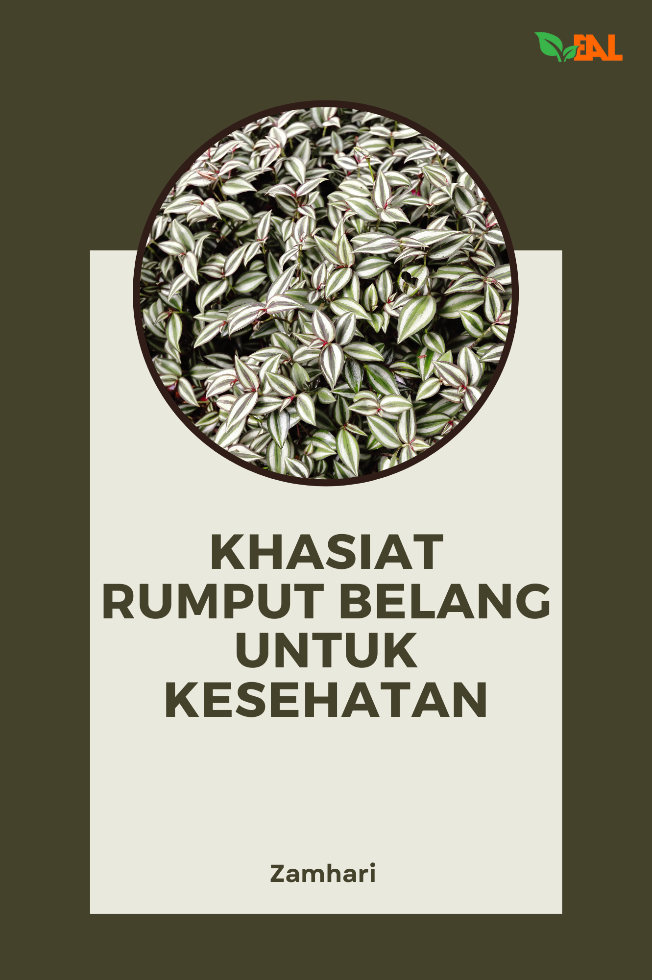 Khasiat Rumput Belang untuk Kesehatan