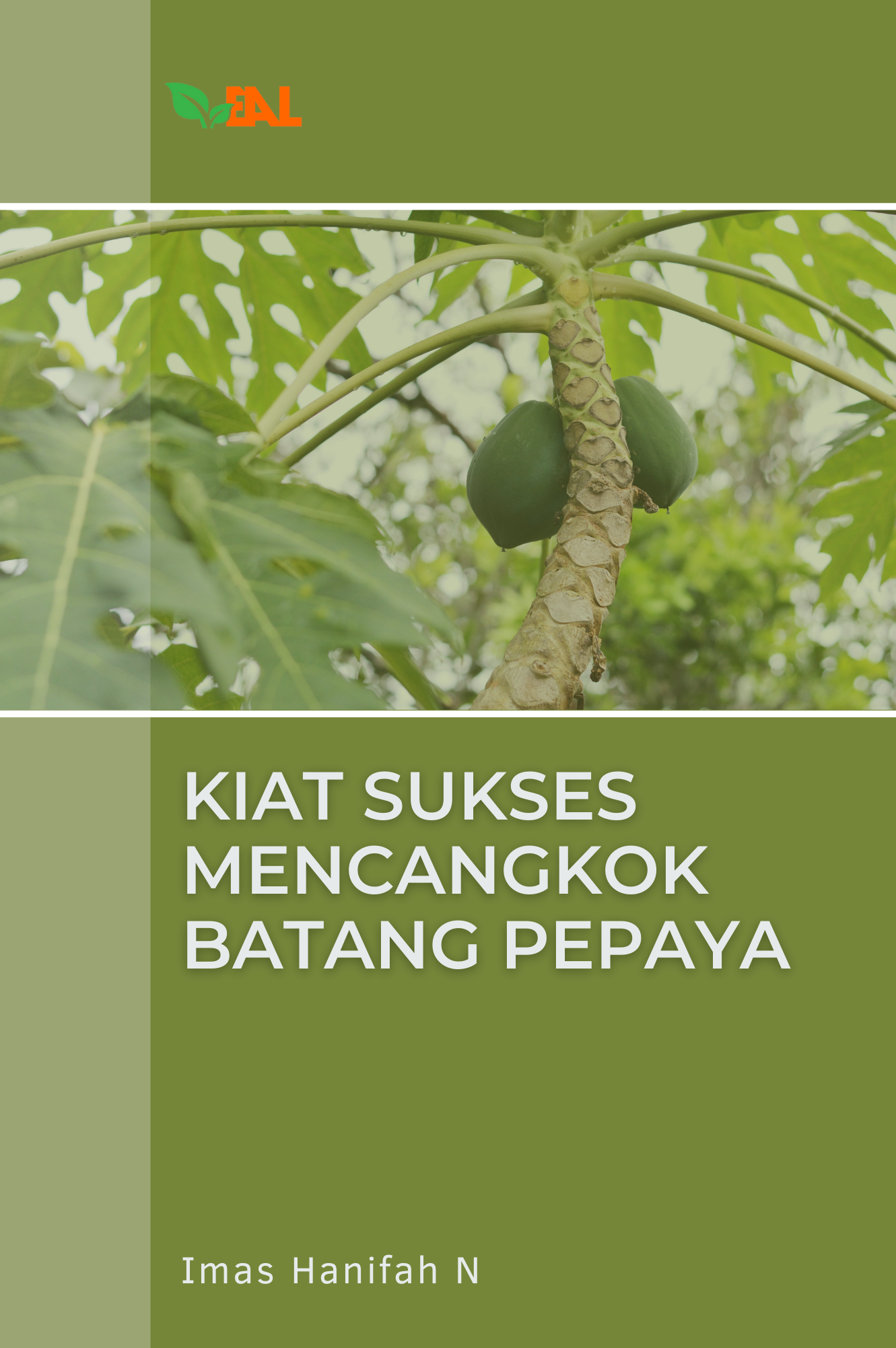 Kiat Sukses Mencangkok Batang Pepaya