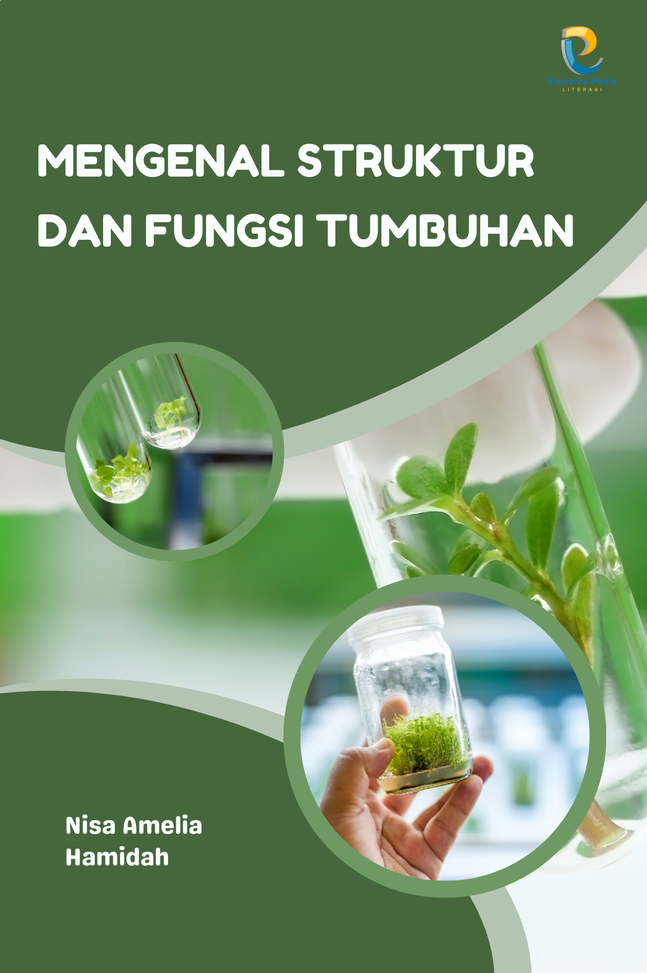 Mengenal Struktur dan Fungsi Tumbuhan