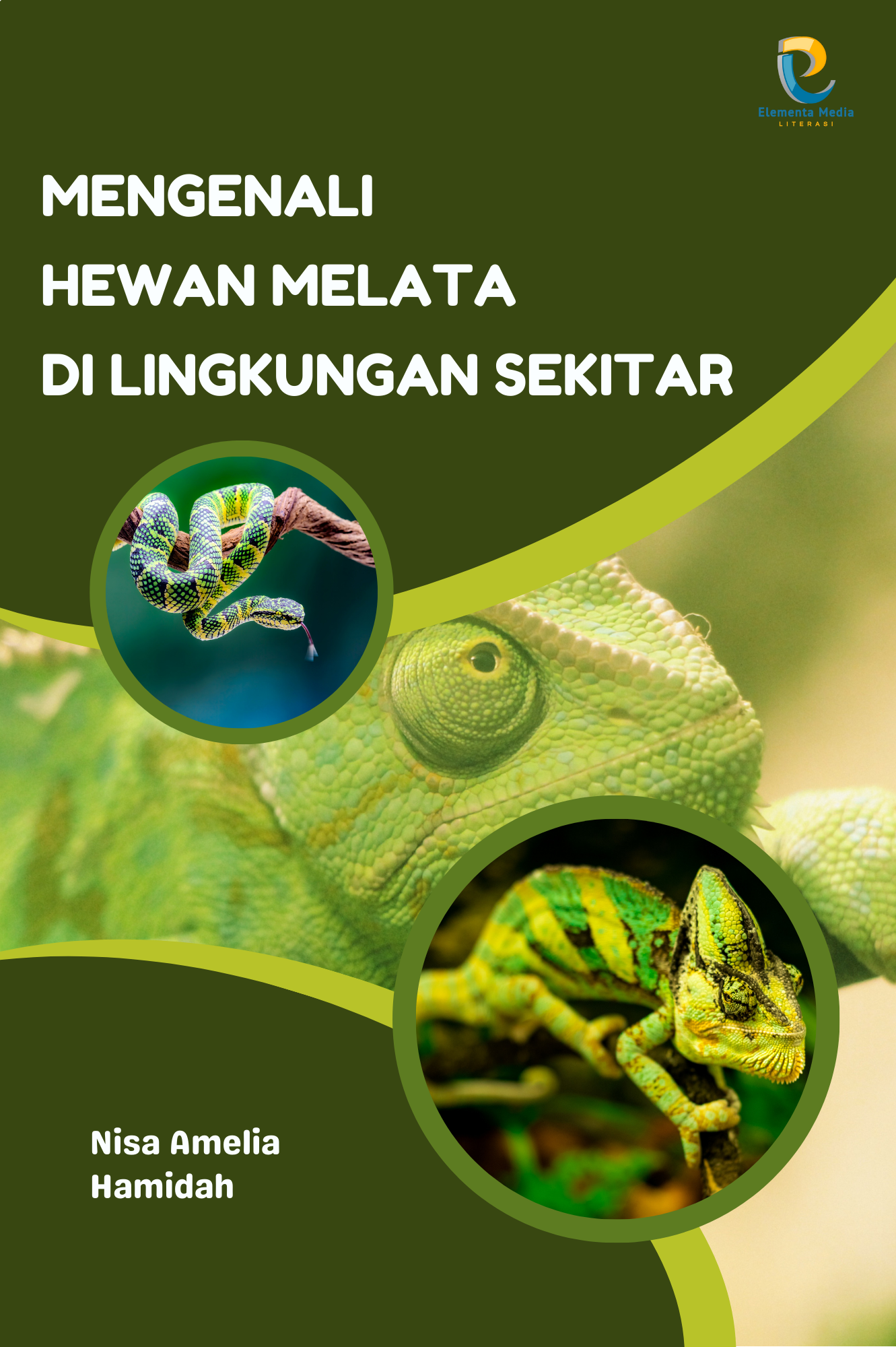 Mengenali Hewan Melata di Lingkungan Sekitar