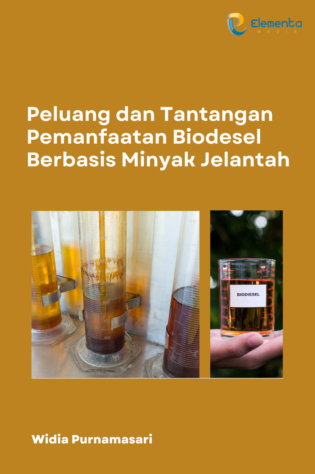 Peluang dan Tantangan Pemanfaatan `Biodiesel Berbasis Minyak Jelantah