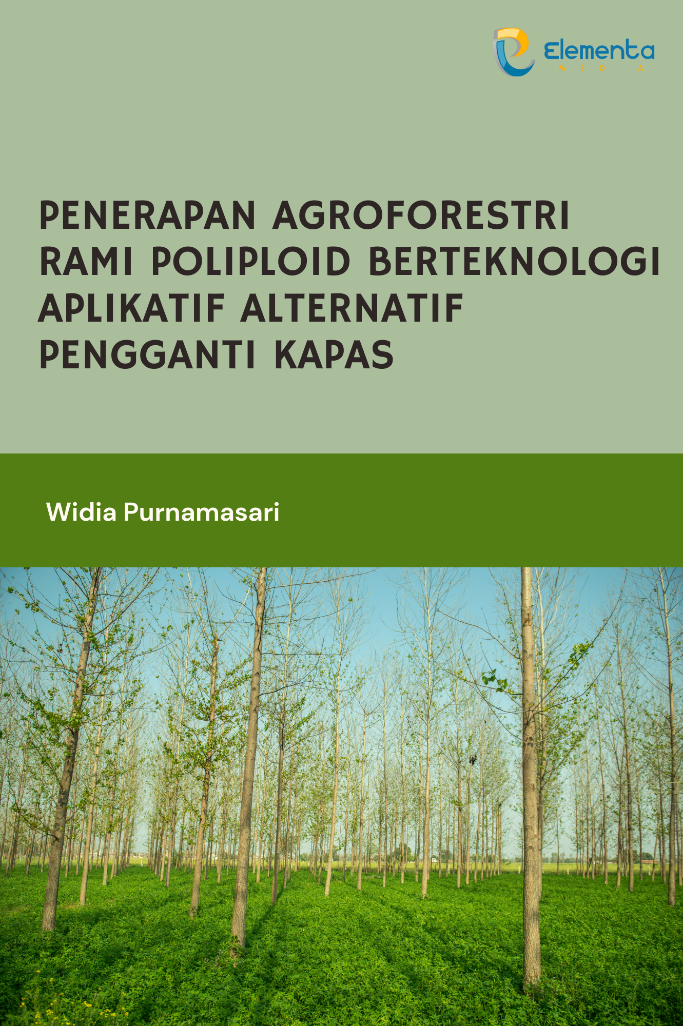 Penerapan Agroforestri Rami Poliploid Berteknologi Aplikatif Alternatif Pengganti Kapas