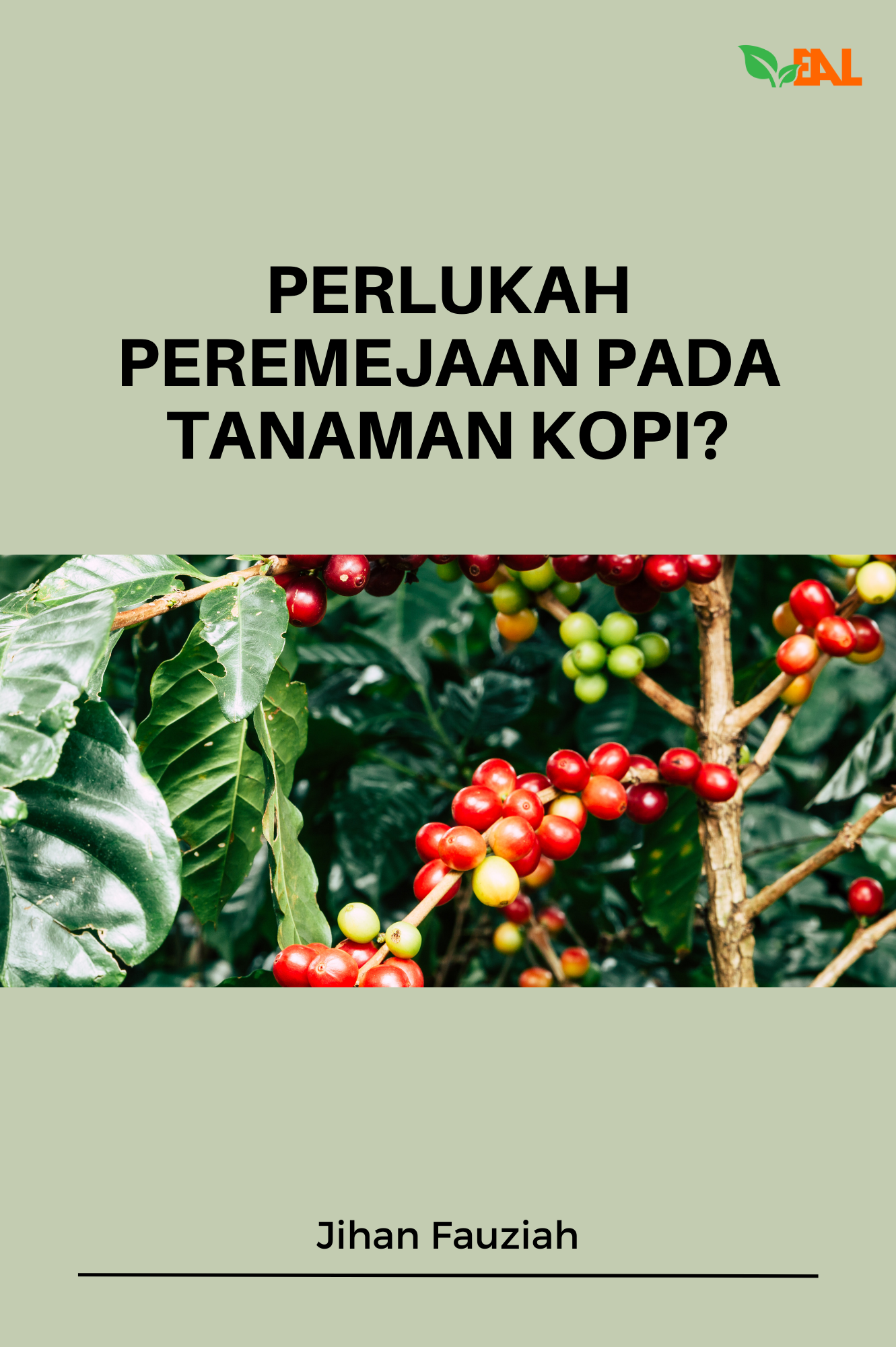Perlukah Peremejaan pada Tanaman Kopi?