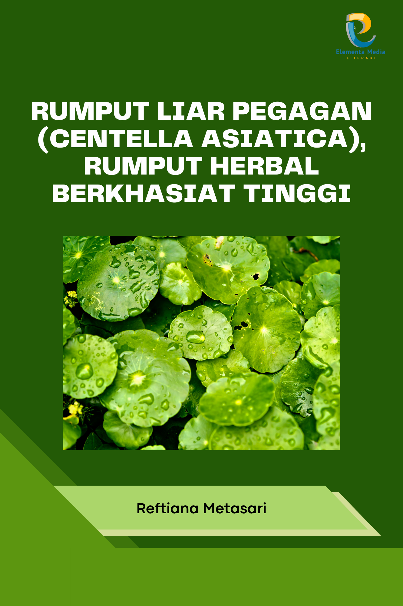 Rumput Liar Pegagan (Centella asiatica), Rumput Herbal Berkhasiat Tinggi
