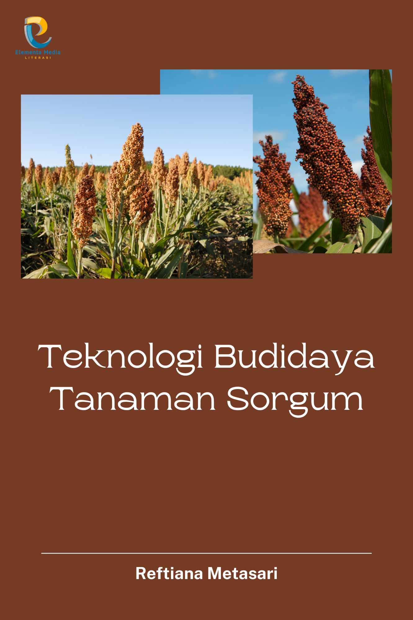 Teknologi Budidaya Tanaman Sorgum