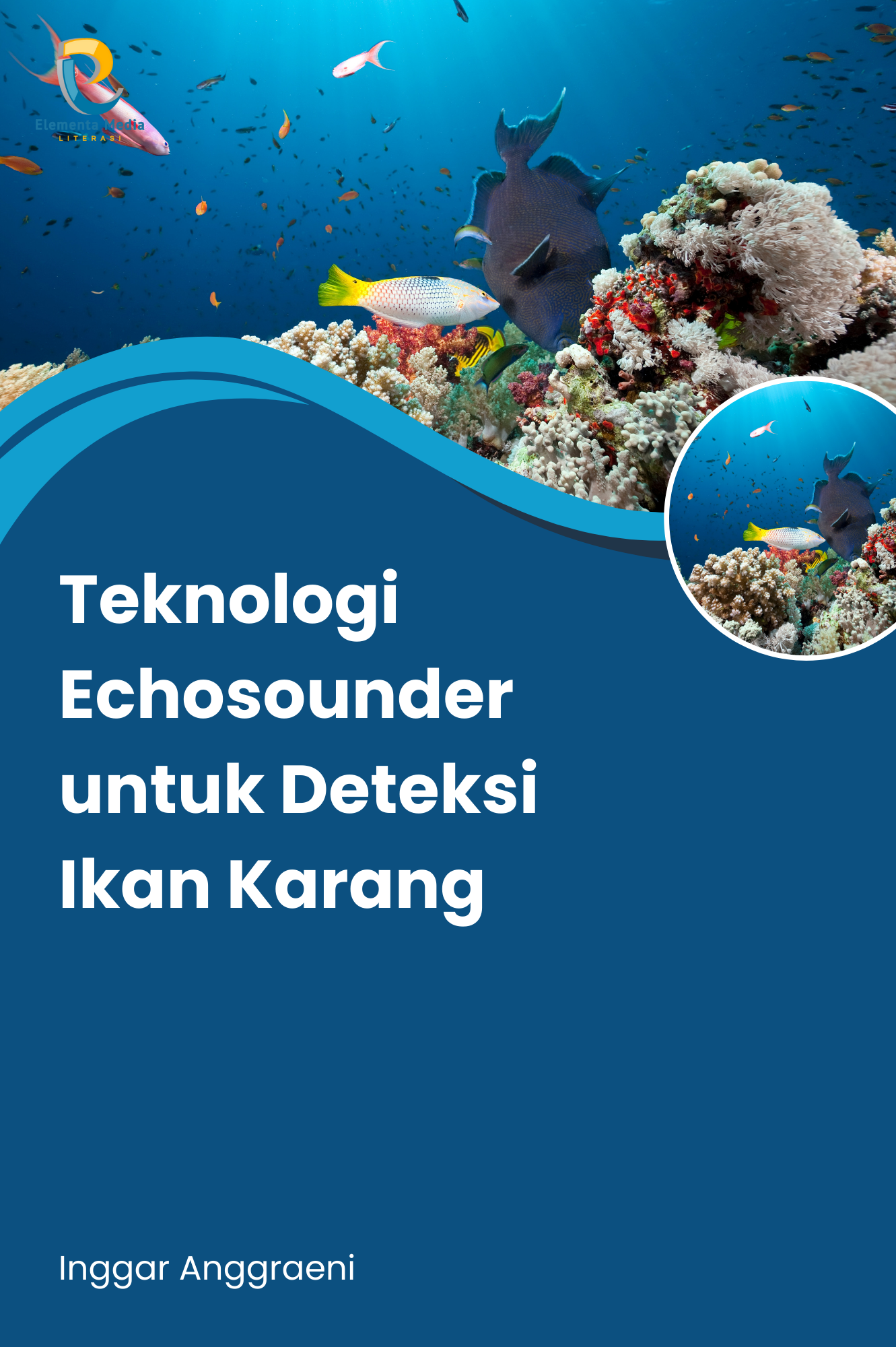 Teknologi Echosounder untuk Deteksi Ikan Karang