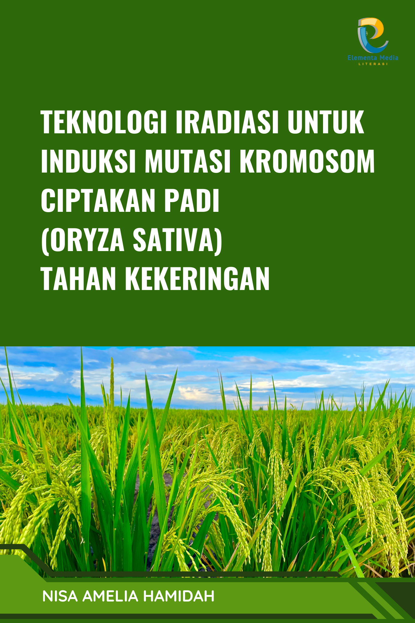 Teknologi Iradiasi untuk Induksi Mutasi Kromosom Ciptakan Padi (Oryza sativa) Tahan Kekeringan