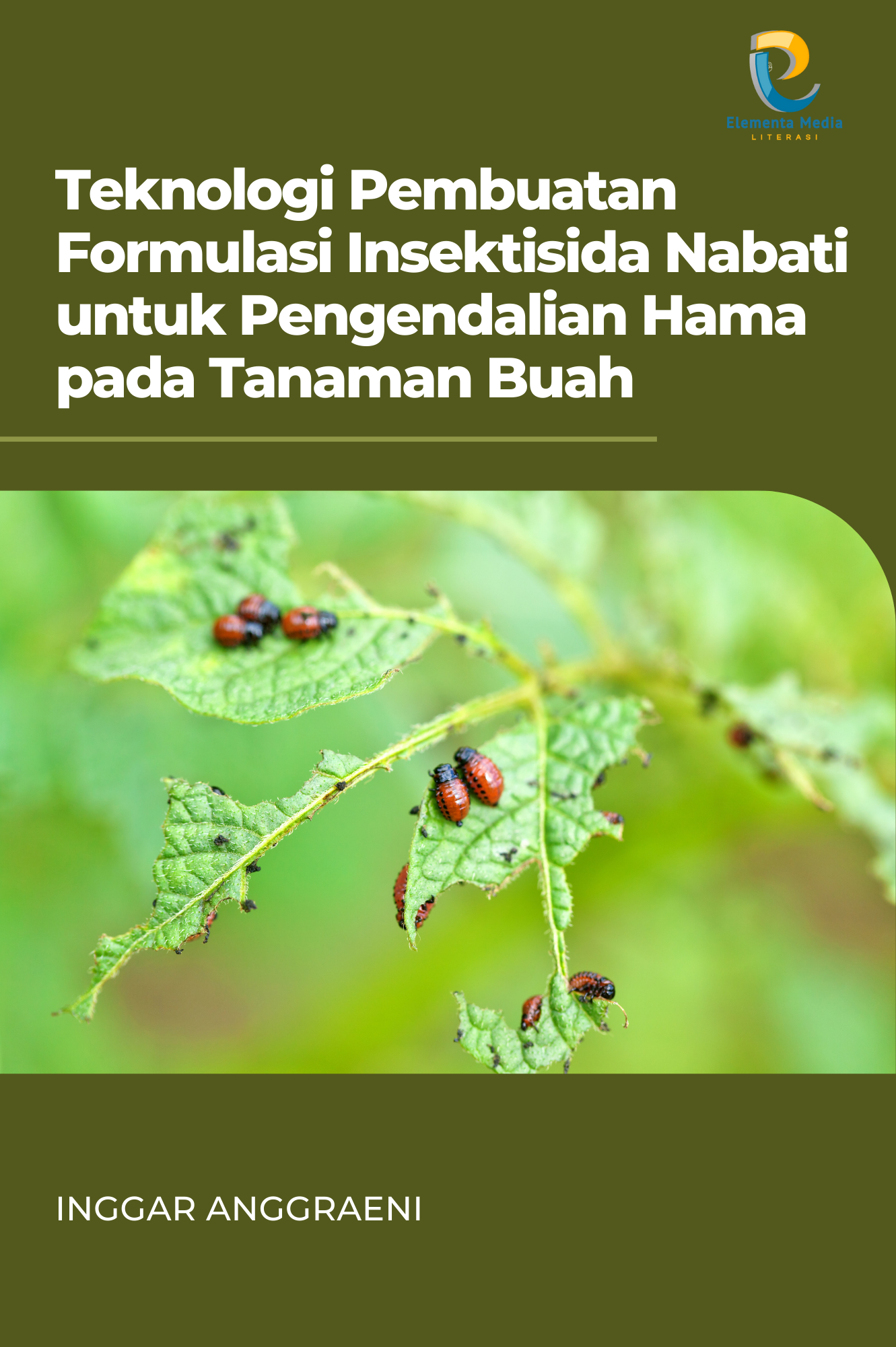 Teknologi Pembuatan Formulasi Insektisida Nabati untuk Pengendalian Hama pada Tanaman Buah