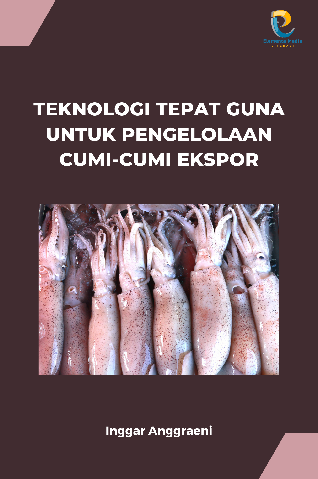 Teknologi Tepat Guna untuk Pengelolaan Cumi-cumi Ekspor