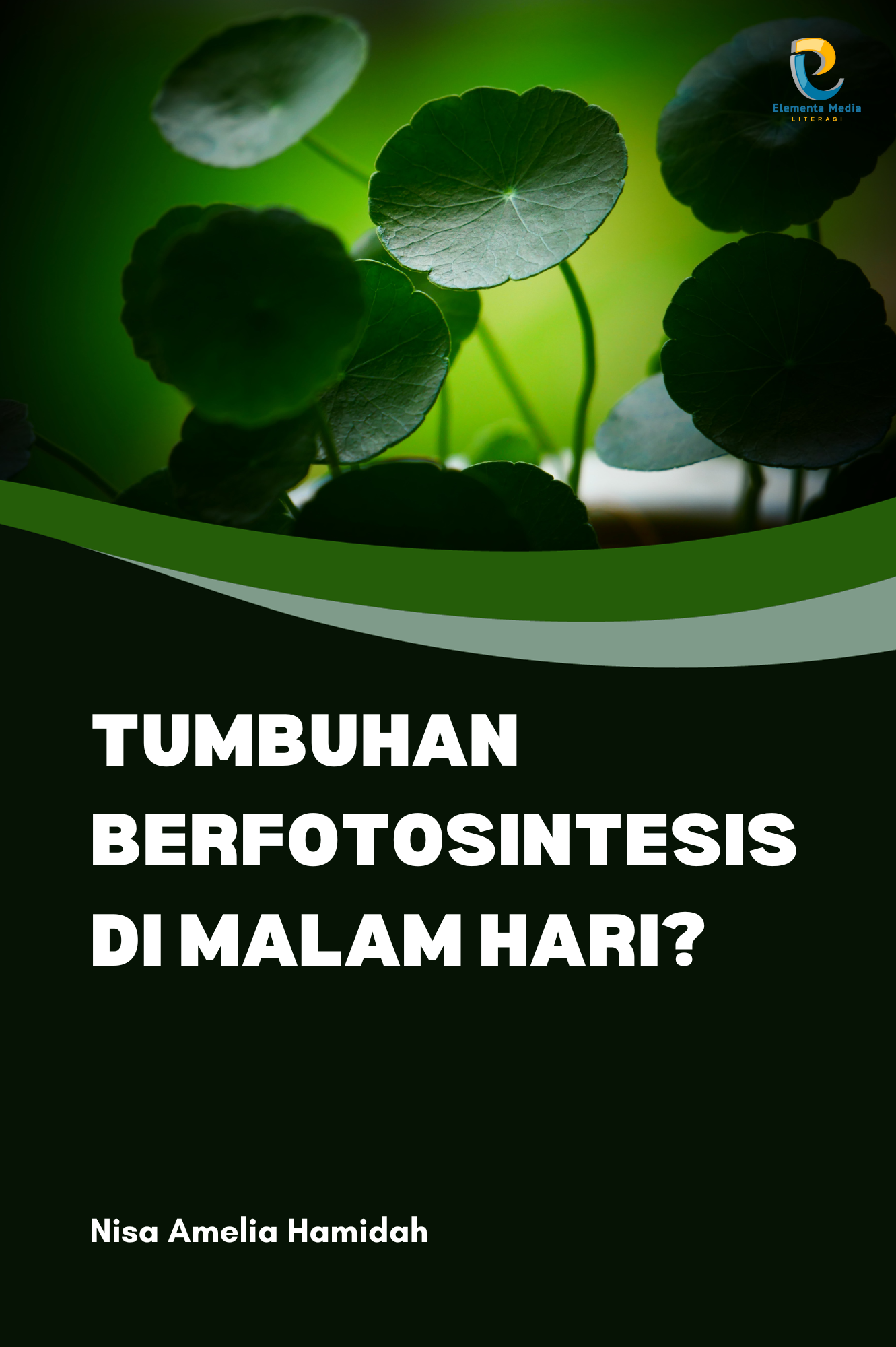 Tumbuhan Berfotosintesis di Malam Hari?
