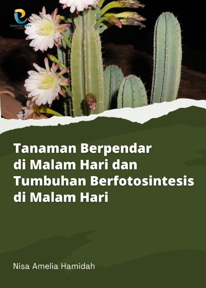 Tanaman Berpendar di Malam Hari dan Tumbuhan Berfotosintesis di Malam Hari