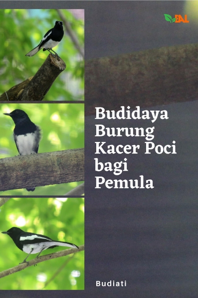Budidaya Burung Kacer Poci bagi Pemula
