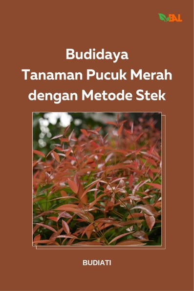 Budidaya Tanaman Pucuk Merah dengan Metode Stek