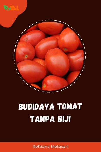 Budidaya Tomat Tanpa Biji